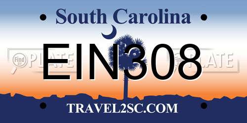 EIN308 South Carolina License Plate