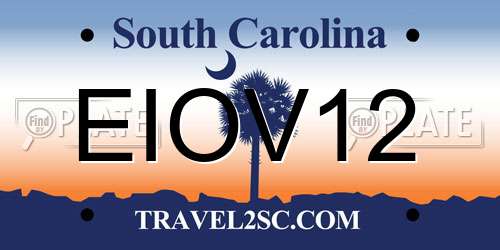 EIOV12 South Carolina License Plate
