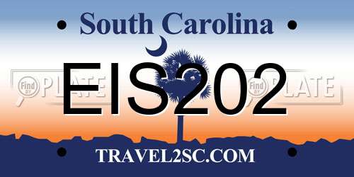 EIS202 South Carolina License Plate