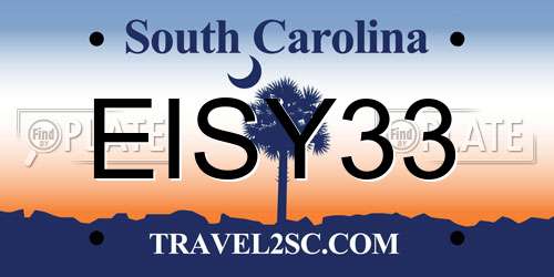 EISY33 South Carolina License Plate