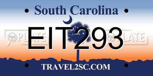 EIT293 South Carolina License Plate