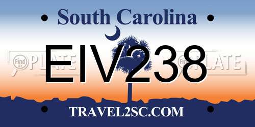 EIV238 South Carolina License Plate