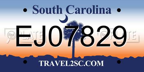 EJ07829 South Carolina License Plate