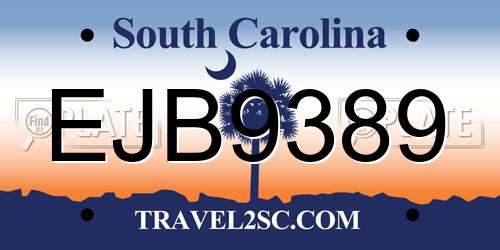 EJB9389 South Carolina License Plate