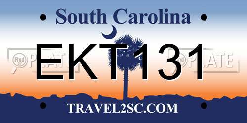 EKT131 South Carolina License Plate