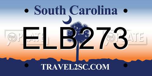 ELB273 South Carolina License Plate