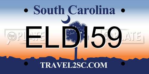 ELDI59 South Carolina License Plate