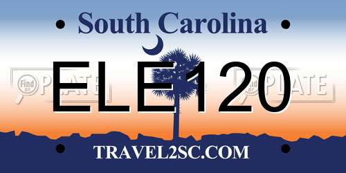 ELE120 South Carolina License Plate