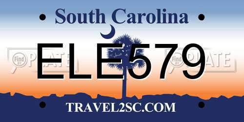 ELE579 South Carolina License Plate