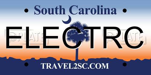ELECTRC South Carolina License Plate