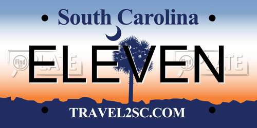 ELEVEN South Carolina License Plate