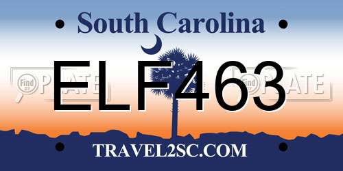 ELF463 South Carolina License Plate