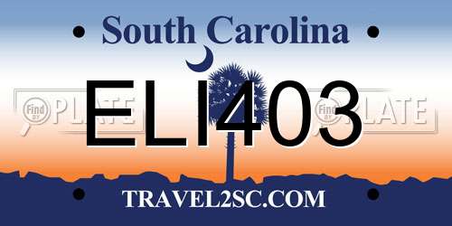 ELI403 South Carolina License Plate