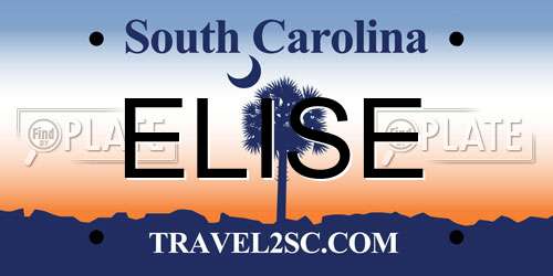 ELISE South Carolina License Plate