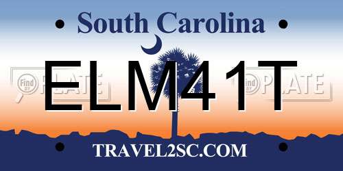 ELM41T South Carolina License Plate