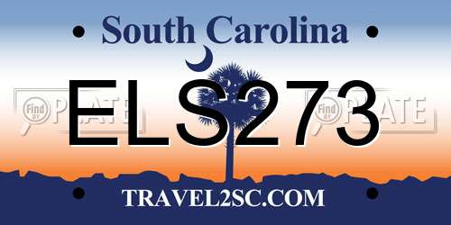 ELS273 South Carolina License Plate