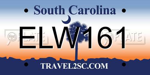 ELW161 South Carolina License Plate