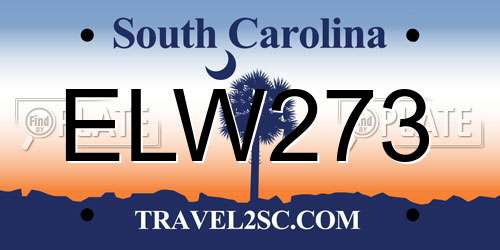 ELW273 South Carolina License Plate