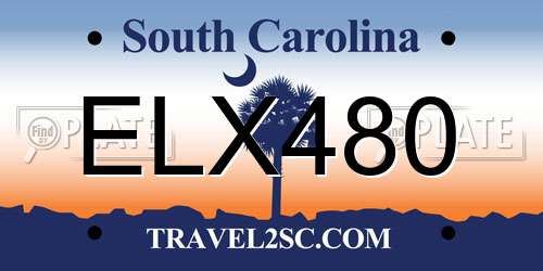 ELX480 South Carolina License Plate
