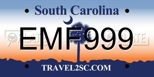 EMF999 South Carolina License Plate