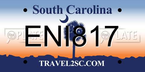 ENI817 South Carolina License Plate