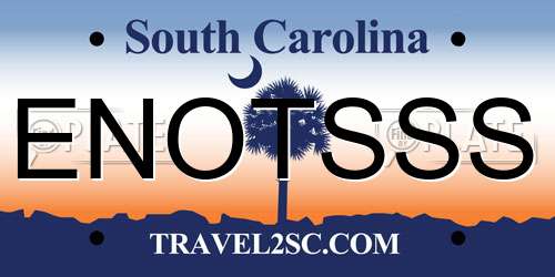 ENOTSSS South Carolina License Plate