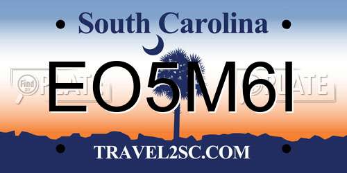 EO5M6I South Carolina License Plate