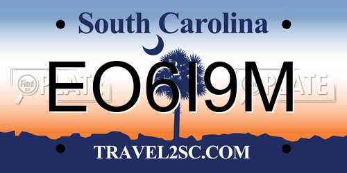 EO6I9M South Carolina License Plate