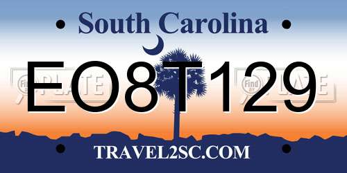 EO8T129 South Carolina License Plate