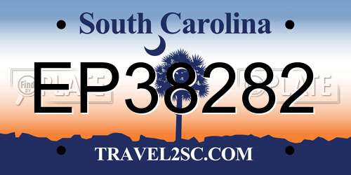 EP38282 South Carolina License Plate