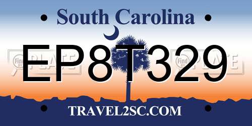 EP8T329 South Carolina License Plate