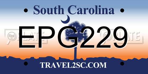 EPG229 South Carolina License Plate