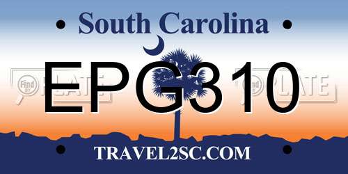 EPG310 South Carolina License Plate