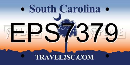 EPS7379 South Carolina License Plate