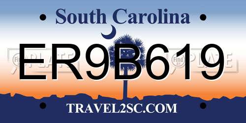 ER9B619 South Carolina License Plate