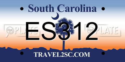 ES312 South Carolina License Plate