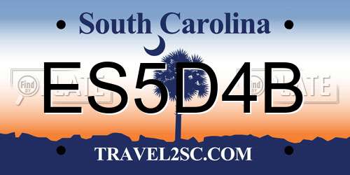 ES5D4B South Carolina License Plate
