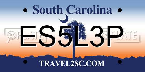 ES5L3P South Carolina License Plate