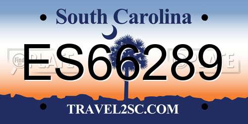 ES66289 South Carolina License Plate