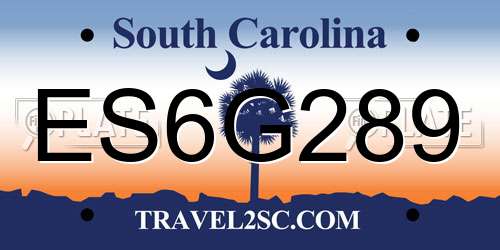 ES6G289 South Carolina License Plate