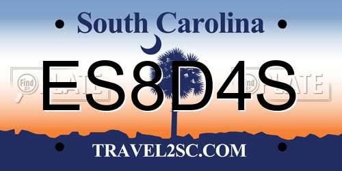 ES8D4S South Carolina License Plate
