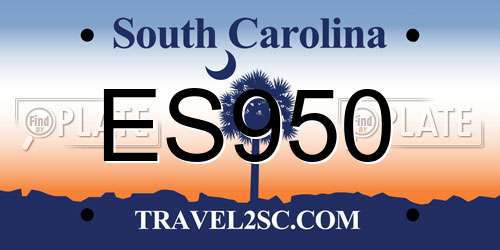ES950 South Carolina License Plate