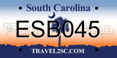 ESB045 South Carolina License Plate