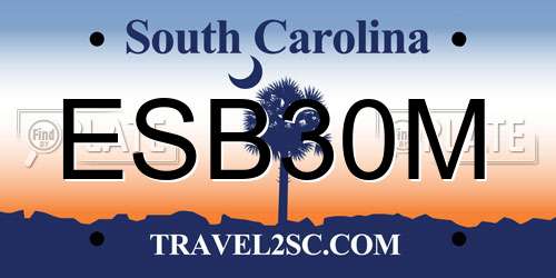 ESB30M South Carolina License Plate
