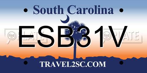 ESB31V South Carolina License Plate