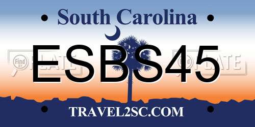 ESBS45 South Carolina License Plate