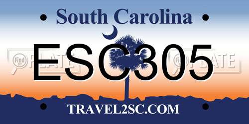 ESC305 South Carolina License Plate