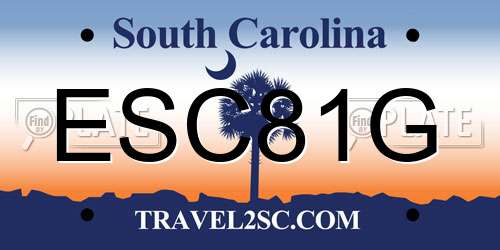 ESC81G South Carolina License Plate