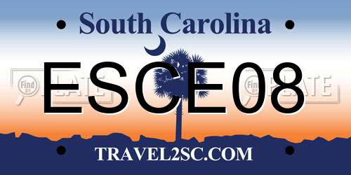ESCE08 South Carolina License Plate