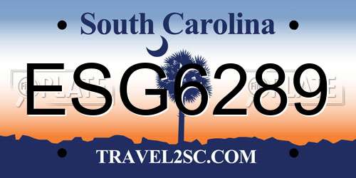 ESG6289 South Carolina License Plate